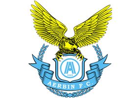 Dalian Aerbin